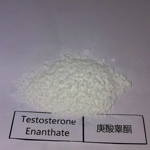 Testosterone Enanthate Powder